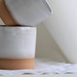 Taza Zambuio