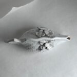 Pez Coral - Imagen 5