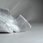 Pez Coral - Imagen 4