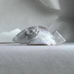 Pez Coral - Imagen 2